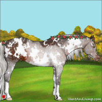 Horse Color:White Spotted Silver Brown Appaloosa