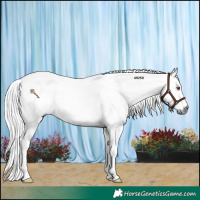 Horse Color:Chestnut Chinchilla 