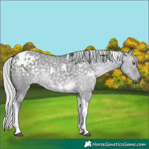 Horse Color:White Spotted Silver Grullo Chinchilla Tobiano
