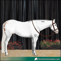 Horse Color:White Spotted Silver Bay Tobiano 