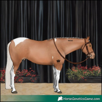 Horse Color:Silver Brown Pearl Tobiano 