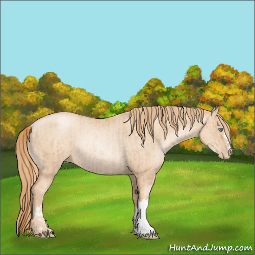 Horse Color:Gold Champagne Pearl Rabicano and Gold Champagne Pearl Rabicano