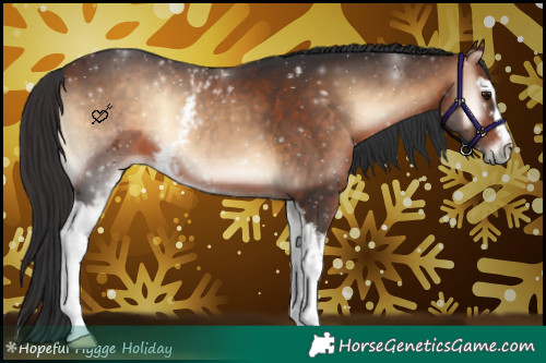 Horse Color:White Spotted Bay Onyx