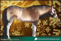 Horse Color:White Spotted Bay Onyx