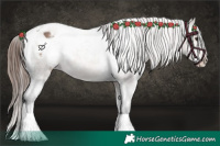 Horse Color:Bay Dun Sabino Appaloosa 