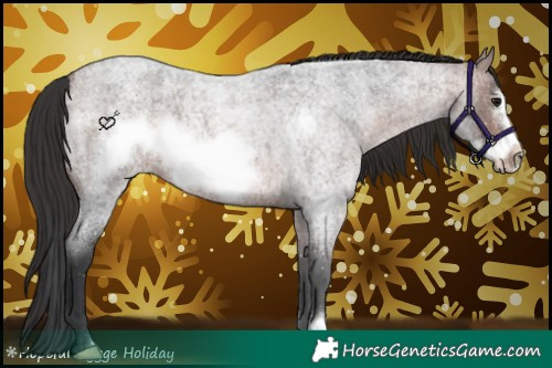 Horse Color:Bay Roan Frame 