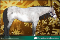 Horse Color:Bay Roan Frame 