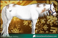 Horse Color:White Spotted Chocolate Palomino Frame