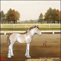Horse Color:White Spotted Red Dun