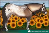 Horse Color:Liver Red Onyx Ice 