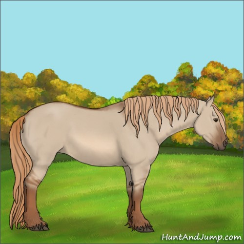 Horse Color:Red Dun 