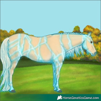 Horse Color:Thunderstruck Palomino Dun 