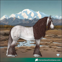Horse Color:Gray Platinum Chocolate Brown Roan Dun 