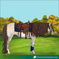 Horse Color:Amber Champagne Onyx Brindle