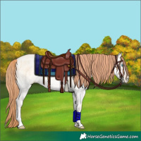 Horse Color:Amber Cream Champagne Ice Pearl Onyx Rabicano Brindle 