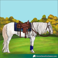 Horse Color:Sable Champagne Ice Pearl Dun Blanket Brindle
