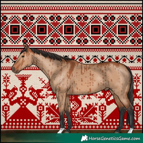 Horse Color:Bay Dun Brindle 