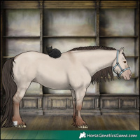 Horse Color:Classic Champagne Dun 