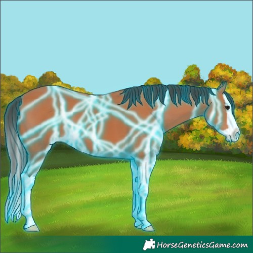 Horse Color:Thunderstruck Bay Splash