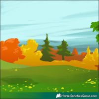 Horse Color:Gray Thunderstruck Chestnut