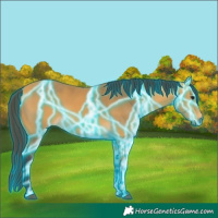 Horse Color:Thunderstruck Buckskin