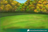 Horse Color:Gray Thunderstruck Bay