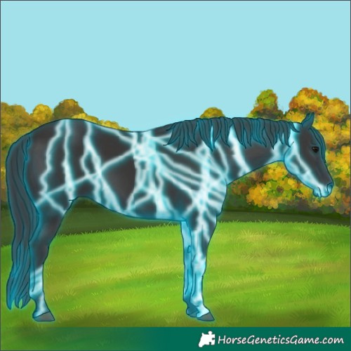 Horse Color:Thunderstruck Smoky Black 