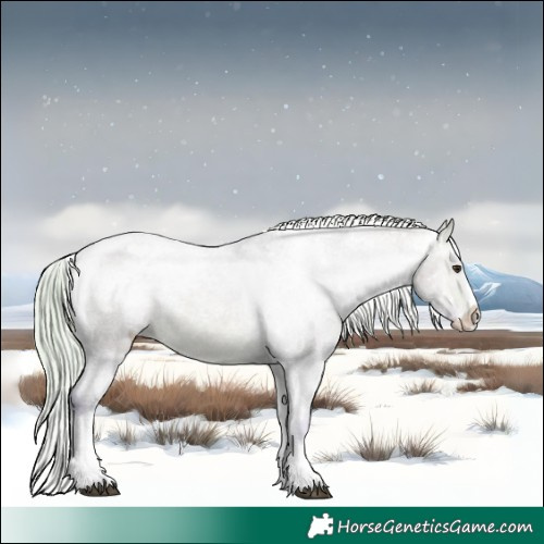 Horse Color:Watercolor White Spotted Silver Brown Dun Splash Tobiano Appaloosa 