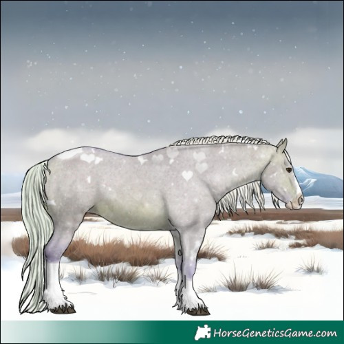Horse Color:Watercolor White Spotted Silver Brown Dun Splash Tobiano Varnish