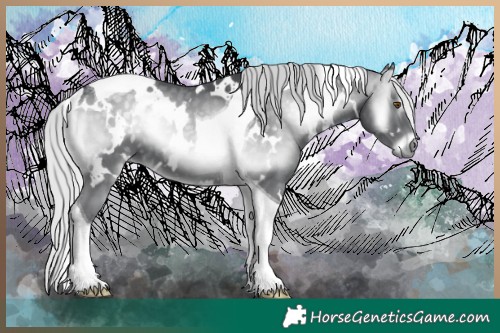 Horse Color:White Spotted Silver Blue Onyx Chinchilla Tobiano 