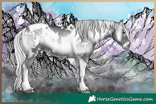 Horse Color:White Spotted Silver Blue Onyx Chinchilla Tobiano 