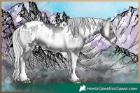 Horse Color:White Spotted Silver Blue Onyx Chinchilla Tobiano 