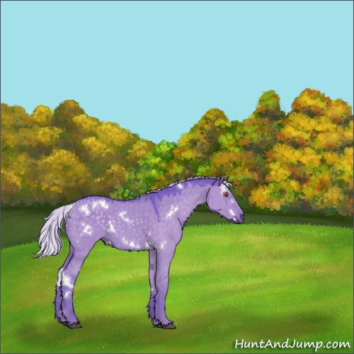 Horse Color:Watercolor White Spotted Silver Grullo Chinchilla 