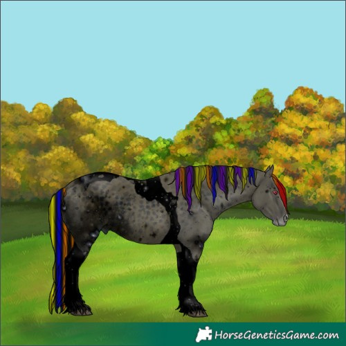 Horse Color:ERROR: UNKNOWN ANOMALY