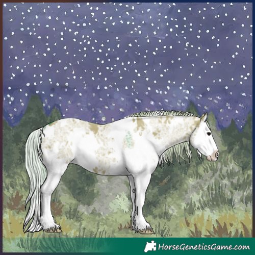 Horse Color:Watercolor White Spotted Silver Grullo Ice Splash 