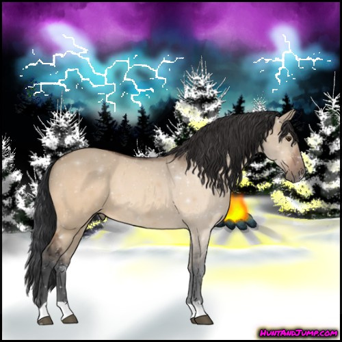 Horse Color:Brown Dun
