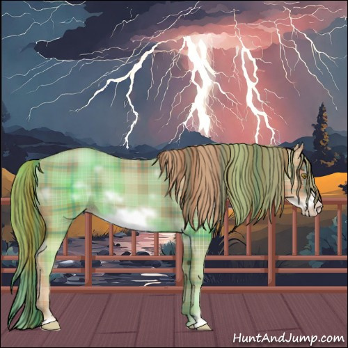 Horse Color:Plaid  White Spotted Gold Champagne Sabino Frame Rabicano 