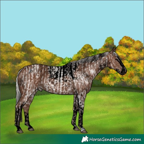 Horse Color:Silver Blue Ice Roan and Void Silver Black Splash Tobiano