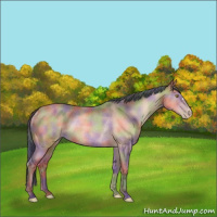 Horse Color:Nacre Sable Champagne Rabicano 