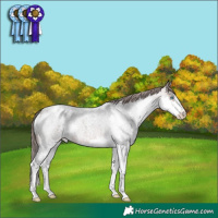 Horse Color:Brown Roan Splash Varnish 
