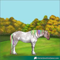 Horse Color:Painted Watercolor White Spotted Silver Brown Ice Dun 