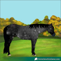 Horse Color:ERROR: UNKNOWN ANOMALY