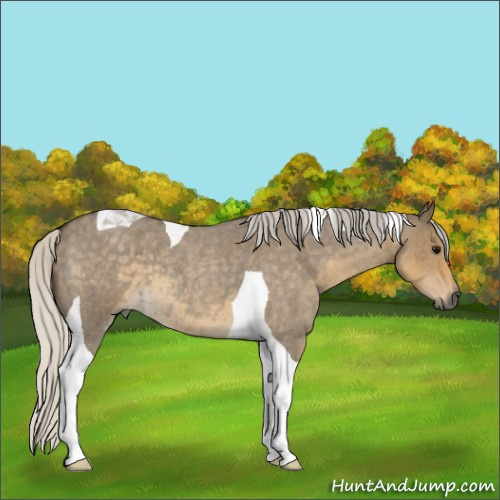 Horse Color:Silver Smoky Grullo Roan Tobiano 