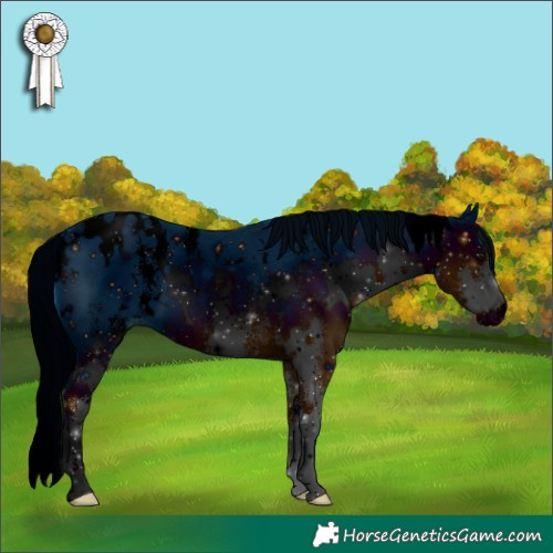 Horse Color:ERROR: UNKNOWN ANOMALY