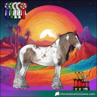 Horse Color:Brown Dun Splash Tobiano Frame 