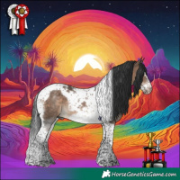 Horse Color:Brown Dun Splash Tobiano Frame