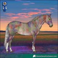 Horse Color:Nacre Silver Brown Dun Tobiano