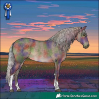 Horse Color:Nacre Silver Brown Dun Tobiano 