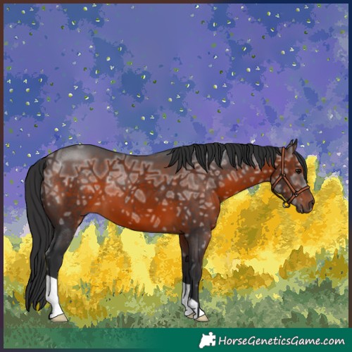 Horse Color:Brown Ice 
