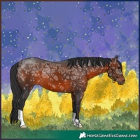 Horse Color:Brown Ice